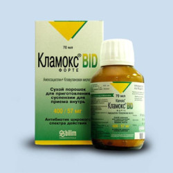 Klamoks 457mg/5ml susp 70ml