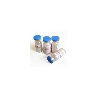 Ampicilin-KMP Pulb./sol. inj. 1000 mg N  