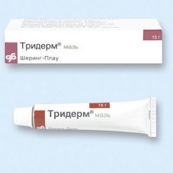 Triderm ung 15g (Elvetia)