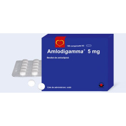 Amlodigamma comp. 5 mg N100