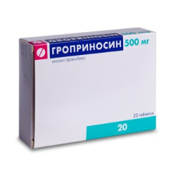 Groprinosin comp. 500mg N20