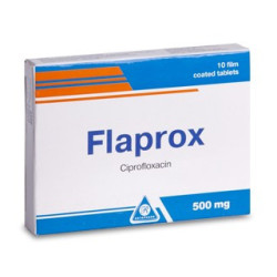 Flaprox comp. 500mg N10