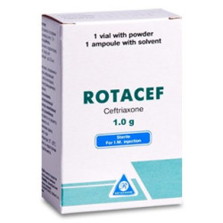 Rotacef 1gr sol.inj.  N1