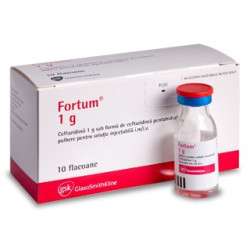 Fortum inj. 1g N10