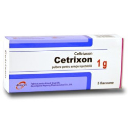 Cetrixon sol. inj. 1g N10