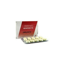 CefloxTZ  tab 500mg N10