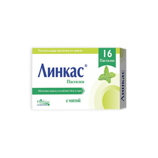 Linkus past. N16 (menta)