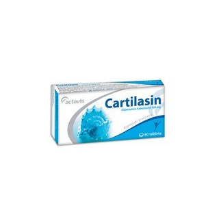 Cartilasin comp. 500 mg N60